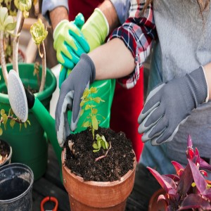 BRIERS SEED AND WEED GLOVES